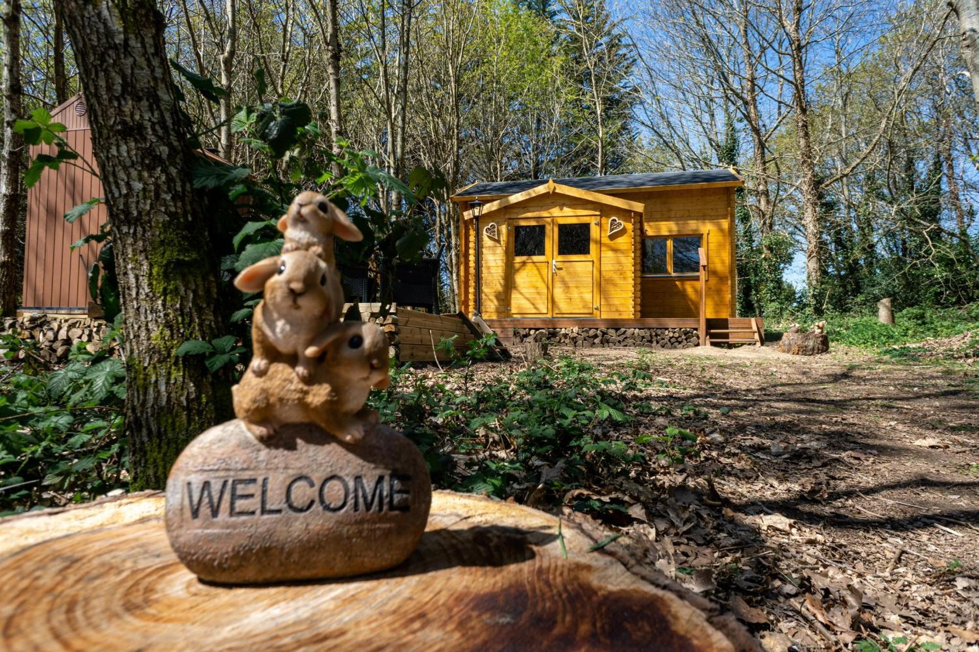 Cabane Insolite Avec Escape Game Saint-Évarzec 외부 사진